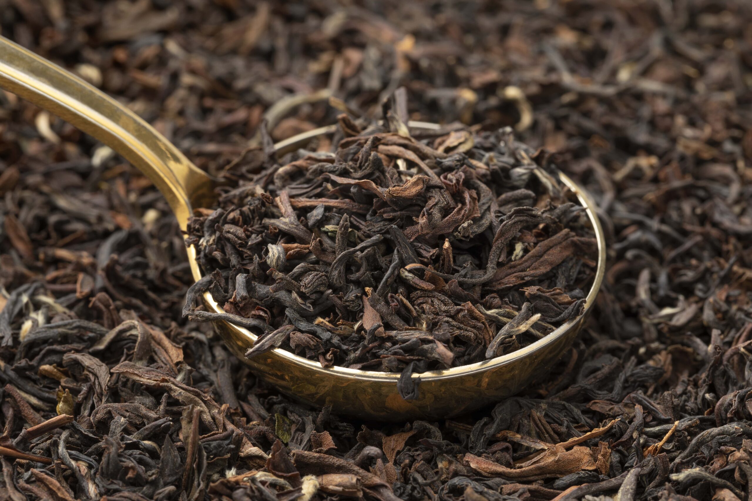 Black Tea